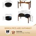 Havniva Elevated Slow Feeder Dog Bowls, 1.6 Cups/8.2 inch Slow Feeders + 7.3 inch Ceramic Dog Food & Water Bowls Set with Acacia Wood Stand Puzzle Bowls for Fast Eater, Medium Dogs Anti-Choking