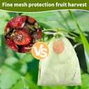 100pcs Fruit Protection Bags 8x12 inch,Green Mesh Bags Drawstring Fruit Protectors Pest Barrier for Grapes Trees & Party Favor, Candy, Jewelry Drawstring, Christmas Gift Bags, Wedding Mesh Goodie Bags