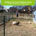 100x100ft Bird Netting for Chicken Coop Poultry Netting 1 inch Mesh Heavy Duty Chicken Coop Cover Netting Roof Hawk Proof Bird Netting for Garden Protection Fruit Tree Netting Against Squirrels Deer