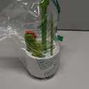 Boon Cacti Bottle Cleaning Brush Set - Includes Bottle Brush, Nipple Brush, Detail Brush, and Straw Brush - Baby Bottle Brush Set for Bottle Drying Rack - Baby Essentials - 4 Count