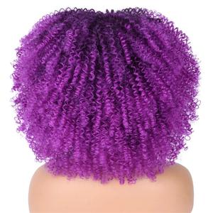 Short Hair Afro Kinky Curly Wigs With Bangs For Black Women Cosplay Curly Afro Wigs For Black Women (14 Inch, T1B-YG51F)