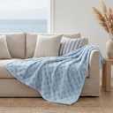 Bedsure GentleSoft Light Blue Throw Blanket for Couch - Checkered Fleece Blankets Gifts for Kids Girls, Cute Soft Cozy Throw for Bedroom Home Decor Gifts, 50x60 Inches (Blue)