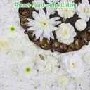 56 PCS Artificial Flower Heads White Bulk Fake Rose Peony Hydrangea Faux Flowers Small for Crafts Wedding Hair Cap Dresses Cake Baby Shower Decorations