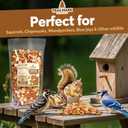25 LB - Raw Shelled Peanuts for Squirrels, Out of Shell Peanuts for Birds and Wildlife- Squirrel Food, Wild Bird Seed - Grown in The USA