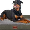 Large Dog Bed Orthopedic Washable: Beds Bolster XL Bed Large Big Dogs Memory Foam Couch Sofa Waterproof with Removable Cover - Dark Green (44.0"L x 34.0"W x 6.5"Th)