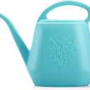 Fasmov 1-Gallon Plastic Watering Can with Comfortable Handle, Garden Watering Cans Long Spout for Indoor Outdoor Watering Plants, Bright Blue