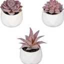 Set of 3 Artificial Succulent Plants with Ceramic Flower Pot Mini Assorted Green Fake Plants in Pots Small Tabletop Ornament Artificial Plant
