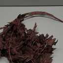 Lyrow 3 Pack 32 Inches Artificial Cimicifuga Plant Leaf Spray Faux Plum Cimicifuga Ramosa Leaf Branch Faux Fall Spray Silk Plants for Home Vase Wedding Garden Farmhouse Table Mantel Decor