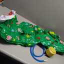 Seenelling Christmas Tree Inflatable Limbo Game 60 Inch Inflatable Christmas Tree Decoration Fun Limbo Stick for Xmas Holiday Winter Indoor Outdoor Picnic Yard Lawn Party Supplies