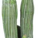 Artificial Cactus Fake Cacti 24" Faux Potted Cactus Plants for Home Store Office Decoration