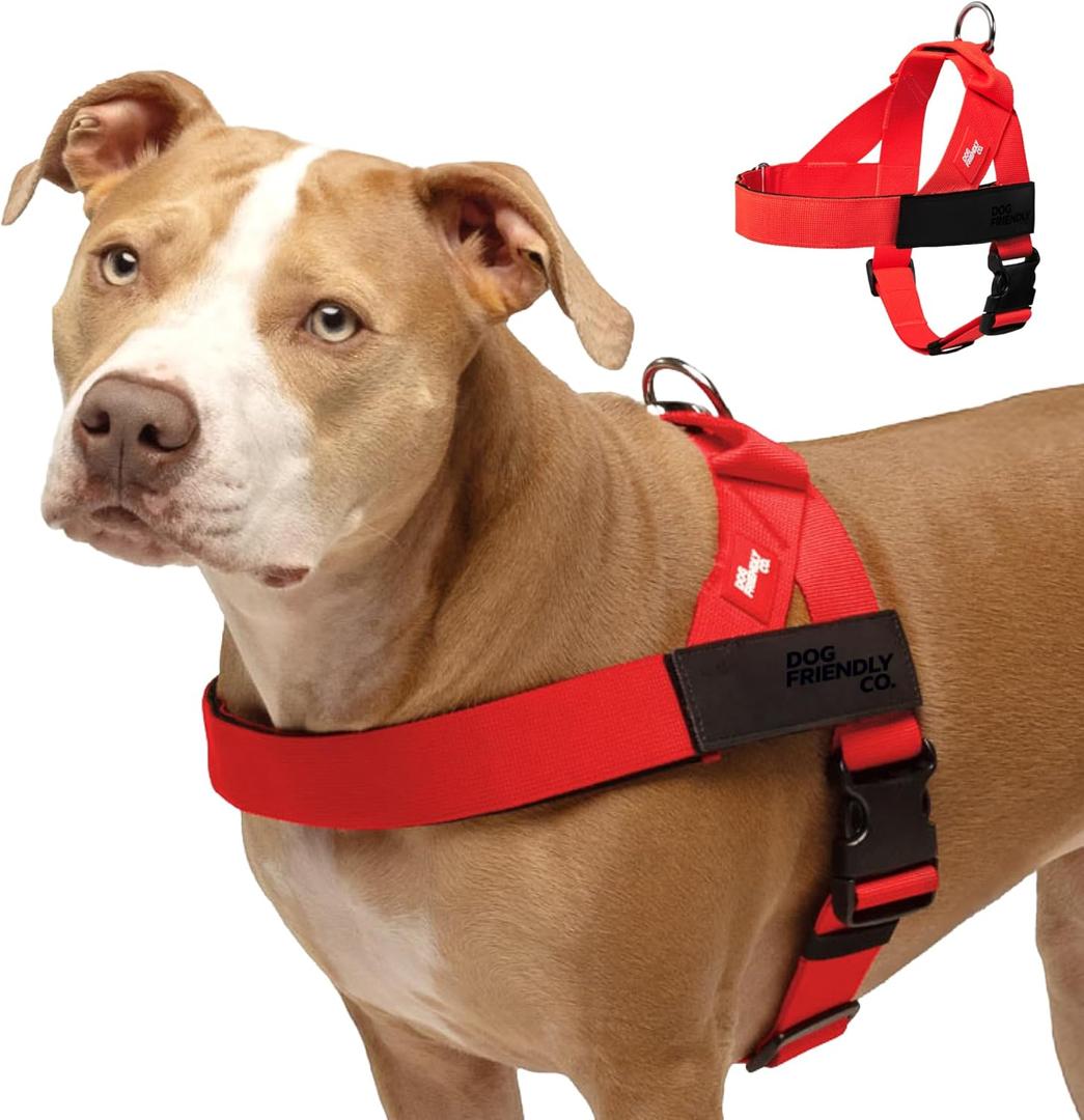 Dog Friendly Co. Dog Harness | Chafe Resistant Webbing, Adjustable Neck & Chest, and Heavy Duty D-Ring | Sturdy, Comfortable, Easy to Use | Red, Size S