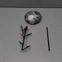 Branch Jewelry Rack Organizer for Ring Earrings Necklace Bracelet,Suitable for living rooms, bathrooms,offices,etc.