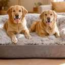 INVENHO Orthopedic Dog Beds Large Sized, XL Washable Dog Sofa with Egg-Crate Foam, Waterproof Lining and Non-Skid Bottom (XL (42"x 32"x 6.5"), Brown)