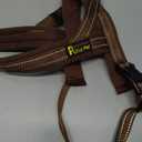 Plutus Pet No Pull Dog Harness with Breathable Mesh Padded, Adjustable Reflective Escape Proof Dog Harness, Quick Fit Dog Vest Harness for 
(M, Chocolate) (M: chest 19.7"-25.2")