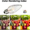 40W F15 Incandescent Light Bulbs, 4-Pack, Daylight White 5000K, Dimmable, E26 Medium Base, Vintage Wrinkle Glass, Rough Service & Shatter-Resistant