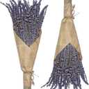 Cedar Space Lavender Dried Flowers 2 Bunches Dried Lavender Ideal Home Fragrance Products for Home Decorations, Wedding, Party, Photography & Flower Arrangements, Total Length 16 Inches