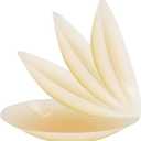 Large Nipple Covers for Women 2 Pairs - Reusable Nipple Pasties Silicone Size A-DD Sticky Adhesive Breast Petals