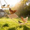 Chicken Swing,Long Large Chicken Coop Accessories,Natural Wood & Hemp Chickens Toys,Chickens Enrichment Toys for Real Rooster Hens Parrots Birds(91x17in)