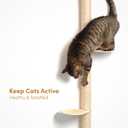 51" Wall-Mounted Cat Tree  Modern Space-Saving Cat Shelf with Sisal Scratching Post & Steel Climbing Steps  Stylish Cat Wall Furniture for Small Spaces