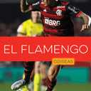 El Flamengo (Spanish Edition)