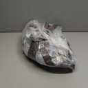 6.6x13FT Chicken Coop Cover for Winter, Waterproof Clear Chicken Run Cover Tarp Winter Wrap with Rope&10 Elastic Cords, Chicken Coop Insulation for Outdoor Patio Porchi Poultry Winter Supplies