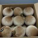 9 PCS Velvet Christmas Balls Ornaments 4inch& 6inch Christmas Large Ball Set for Xmas Tree Decor, Holiday Home Party (Brown, 6inch)