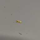 HAHIYO Gold Wooden Clothes Pins Clothespins Mini Do NOT Fall Apart 1 inches Length 80 Pack Sturdy Strong Springs No Rust No Discoloration for Laundry Bathroom DIY Craft Photos Food Opened Bags