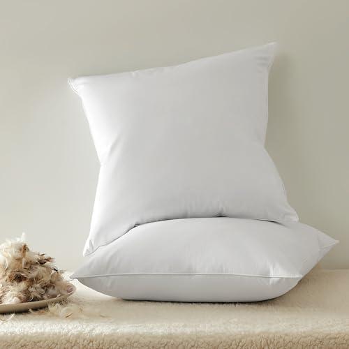 Bedding Throw Pillows Insert (Pack of 2, White) - 16 x 16 Inches Bed and Couch Pillows - Indoor Decorative Pillow
