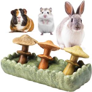 TEEWY Guinea Pig Chew Toys, Prevent Teeth Overgrowth, Natural Timothy Grass & Vegetables, Hamster Chew Toys, Guinea Pig Toys, Chinchilla Toys, 4PCS, Grass Patch & Mushrooms