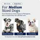 Midwest 30-Inch Single Door iCrate, for Medium Breeds, 21-40 lbs