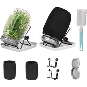 Lulonpon Sprouting Kit, 2 Sprouting Jar Kits, Wide Mouth Quart Mason Jars with Stainless Steel Screen Sprout Lids,1000ml, Stand and Canning Brush,Seed Sprouter Set for Growing Broccoli, Alfalfa