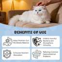 Probiotics for Cat, Boosts Immune System, Improves Digestion, Supports Gut Health, Relieves and Prevents Diarrhea and Soft Stools, Salmon-Flavored Chewable Tablets - 30 Tablets (120g)