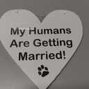 Pulse Brands Engagement Photo Prop Sign - My Humans are Getting Married - Engagement Gifts - Bride to Be - Engaged - Engagement Gifts for Couples (White)