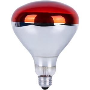 250 Watts Heat Lamp Bulbs, R40 Brooder Heat Lamp Bulbs for Chickens, Infrared Reflector Heat Bulbs for Brooder Heater, Incandescent Heating bulb for Chicks, Pet, Light Therapy, Bathroom, Food (1 Pack)
