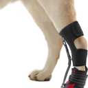 Strap-On Drop Foot Brace (No Knuckling Boot Brace) for Dogs Corrective Dog Shoes to Safely Lift Toes for Foot Issues, Arthritis, and improving Walking gait in Dogs(Small)