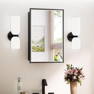 TokeShimi 17x25 Recessed Medicine Cabinet with Mirror Surface Mounted, Metal Beveled Mirror with Storage for Bathroom Vanity, Aluminum Black Medicine Cabinet Mirrored