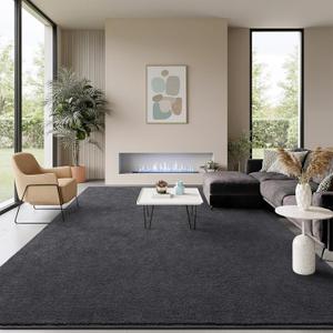 Soft Rugs for Living Room 4x6 Dark Grey, Minimalist Area Rug for Bedroom Nursery Dining Table Dorm, Throw Rugs for Men Boys Girls Kids Room Indoor Floor Carpets