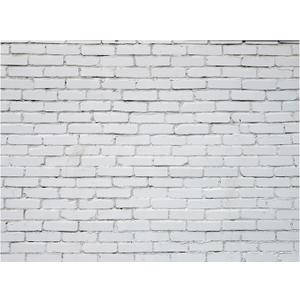 10 x 8 Ft Brick Wall Backdrop for Photoshoot Polyester Fabric Brick Backdrop Background for Fireplace Home Decoration Newborn Birthday Party (White) (10 x 8 ft, White)