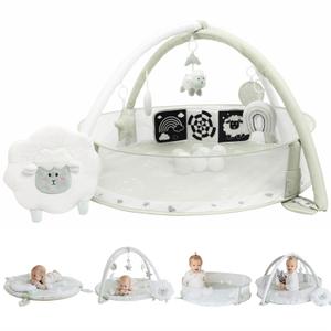 6-in-1 XL Play Mat & Play Gym, Baby Gym, Baby Activity Gym, Sensory Exploration and Motor Skill Development Toys (Sage) 6-in-1 XL Play Mat & Play Gym, Baby Gym, Baby Activity Gym, Sensory Exploration and Motor Skill Development Toys (Sage)