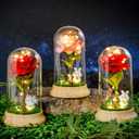 Pink Roses from Daughter for Mom Mothers Day, Beauty and The Beast Rose, with LED Light Up Rose in Dome, for Wife Grandma Christmas Day Valentine Day Birthday for Her Gift (1 Pink Rabbit)
