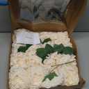 Floroom Artificial Flowers 16pcs 4" Blooming Peonies Real Looking Foam Fake Peony with Stems for DIY Wedding Bouquets Bridal Shower Centerpieces Floral Arrangements Party Tables Decorations - Cream