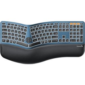 ProtoArc Backlit Bluetooth Ergonomic Keyboard, EK01 Plus Full Size Wireless Split Keyboard with Dual Bluetooth and USB, Cushioned Wrist Rest, Rechargeable, Compatible with Windows/Mac/Android, Blue