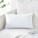 Artscope Set of 1 Luxury Velvet Pillow Covers Only Decorative Rectangle Pillowcases Soft Solid Cushion Cases for Couch Sofa Bedroom Car Decor 12x20 Inch White (ONLY Cover)