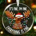 Black Cat Ornament - Black Cat Ornaments for Christmas Tree, Gift for cat Lovers, Unique Funny Kitty Dcors, Specialty 2025 Christmas Tree Ornaments, Funny Christmas Cats Ornament