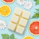2 x Earnest Living Scented Wax Fragrance Melts Summer Daydream White Musk Grapefruit Patchouli Bergamot Amber Wax Cubes Pack Home Warmer Tart Electric Candle Air Freshener Aroma Decor Gift 2.5 oz (2-Pack)