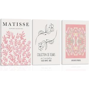WRFON Pink Matisse Abstract Botanical Canvas Wall Art, Picasso Black Line Floral Poster Prints, Pink Flower Market Modern Elegant Aesthetic Pictures for Living Room Bedroom Framed 16"x24"x3