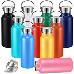 Mimorou 10 Pcs 17 oz Stainless Steel Sports Water Bottle Insulated Reusable Water Bottles with Handle Metal Bottle for Hikers Gift, 10 Colors