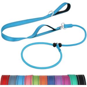 2 x Joytale Tangle-Free Slip Leads for Dogs, 6 FT Slip Leash with Padded Double Handle, Reflective Nylon Training Leash for Small Medium Dogs 15-40 Lbs, Sky Blue