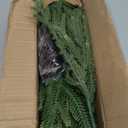 30 PCS Artificial Christmas Norfolk Pine Stems Branches, Real Touch Natural Droopy Faux Pine Picks 13 Inch Soft Fake Christmas Picks for Crafts Vase Garland Wreath Table Holiday Home Decor