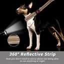 No Pull Martingale Dog Collar for Large Medium Small Dogs, Heavy Duty Nylon Reflective Adjustable Anti Pull Slip Collar with Buckle for Training Walking M Khaki